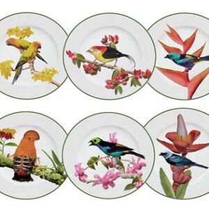 Jogo de pratos rasos Aves brasileiras