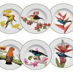Jogo de pratos fundos Aves brasileiras